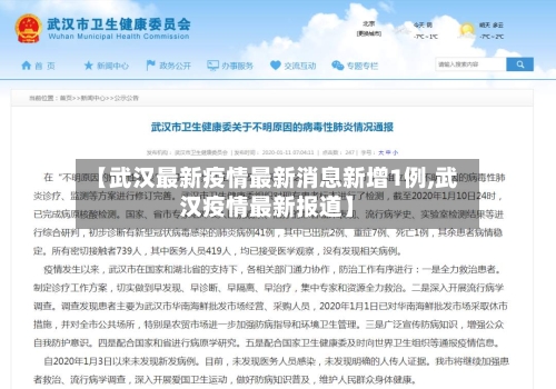 【武汉最新疫情最新消息新增1例,武汉疫情最新报道】