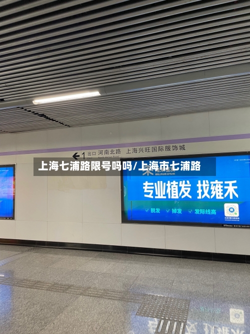上海七浦路限号吗吗/上海市七浦路