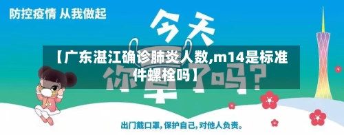 【广东湛江确诊肺炎人数,m14是标准件螺栓吗】