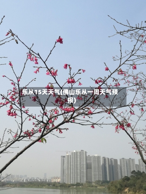 乐从15天天气(佛山乐从一周天气预报)