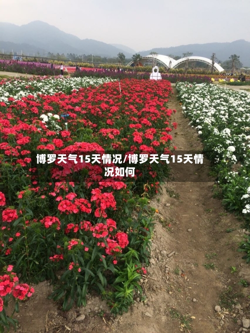 博罗天气15天情况/博罗天气15天情况如何