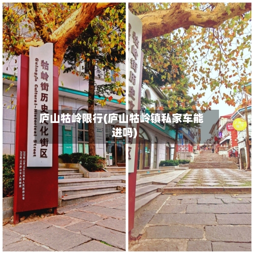 庐山牯岭限行(庐山牯岭镇私家车能进吗)