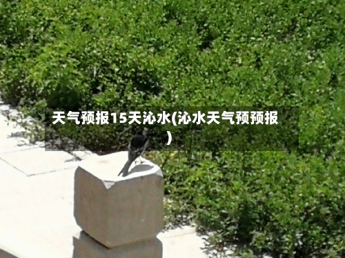 天气预报15天沁水(沁水天气预预报)