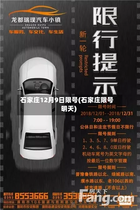 石家庄12月9日限号(石家庄限号明天)