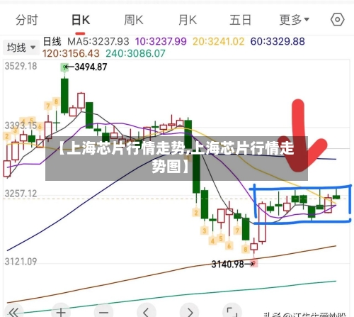 【上海芯片行情走势,上海芯片行情走势图】