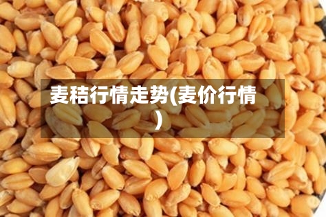 麦秸行情走势(麦价行情)