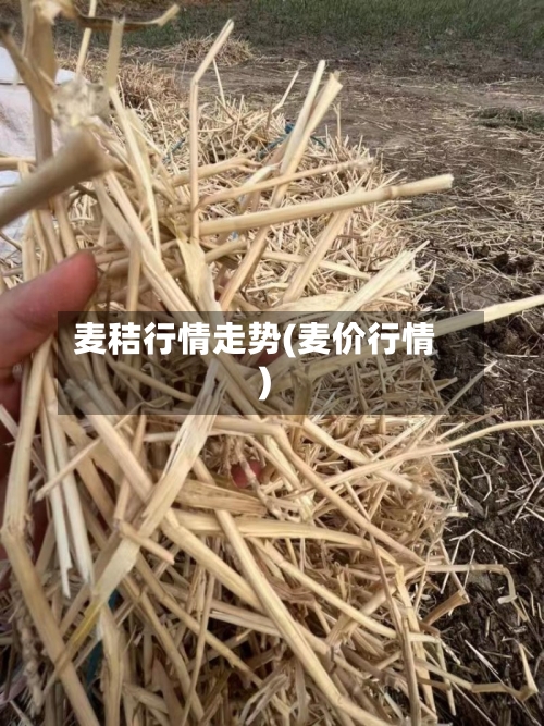麦秸行情走势(麦价行情)