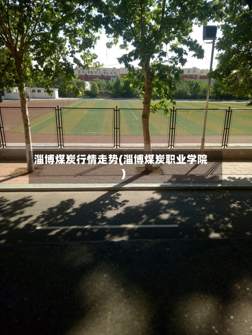 淄博煤炭行情走势(淄博煤炭职业学院)