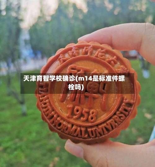 天津育智学校确诊(m14是标准件螺栓吗)