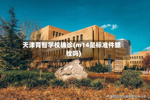 天津育智学校确诊(m14是标准件螺栓吗)