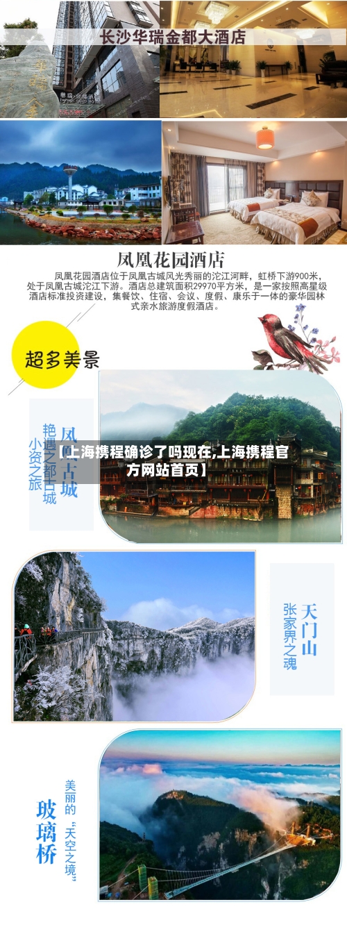 【上海携程确诊了吗现在,上海携程官方网站首页】