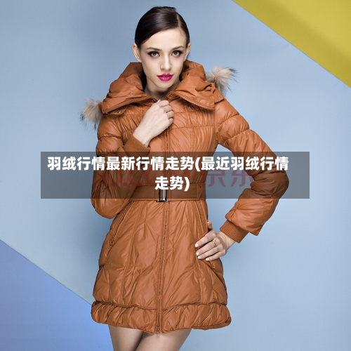 羽绒行情最新行情走势(最近羽绒行情走势)