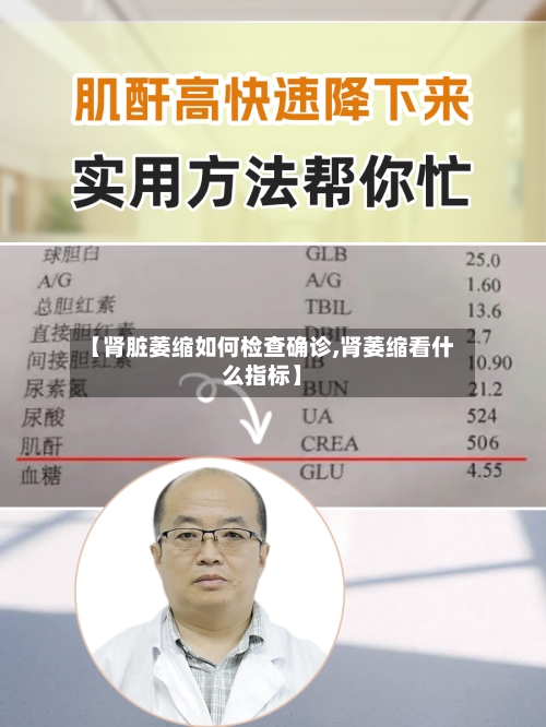 【肾脏萎缩如何检查确诊,肾萎缩看什么指标】