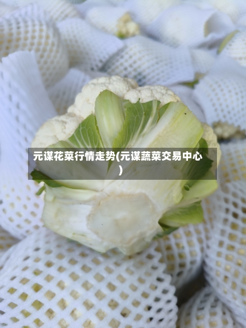 元谋花菜行情走势(元谋蔬菜交易中心)