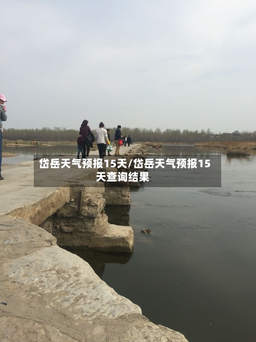 岱岳天气预报15天/岱岳天气预报15天查询结果