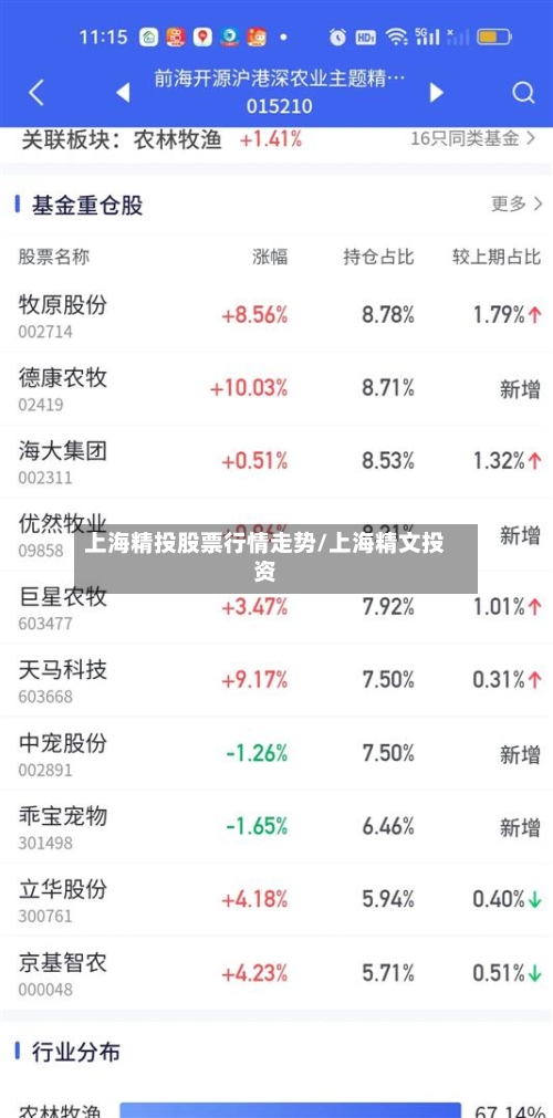 上海精投股票行情走势/上海精文投资
