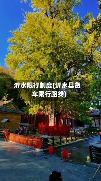沂水限行制度(沂水县货车限行路线)