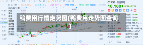 鸭费用行情走势图(鸭费用走势图查询)