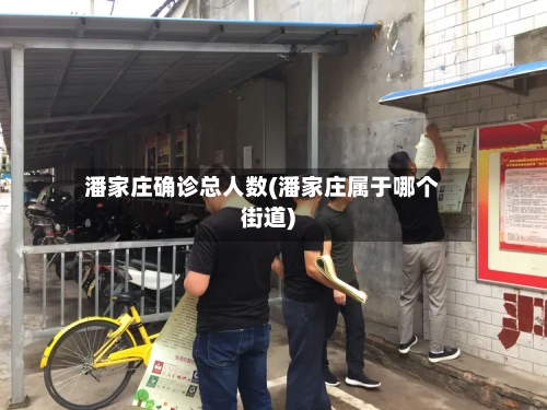 潘家庄确诊总人数(潘家庄属于哪个街道)