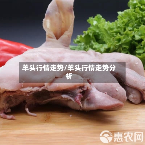 羊头行情走势/羊头行情走势分析