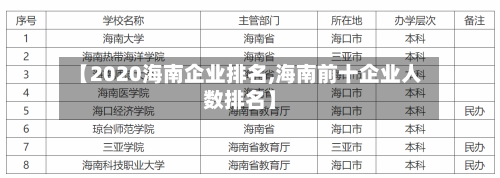 【2020海南企业排名,海南前十企业人数排名】