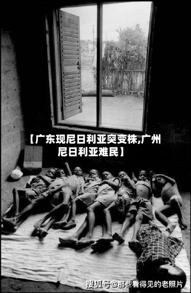【广东现尼日利亚突变株,广州尼日利亚难民】