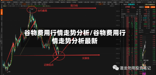 谷物费用行情走势分析/谷物费用行情走势分析最新