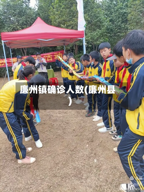 廉州镇确诊人数(廉州县)