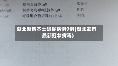 湖北新增本土确诊病例9例(湖北发布最新冠状病毒)