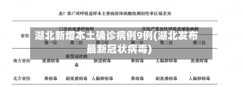 湖北新增本土确诊病例9例(湖北发布最新冠状病毒)