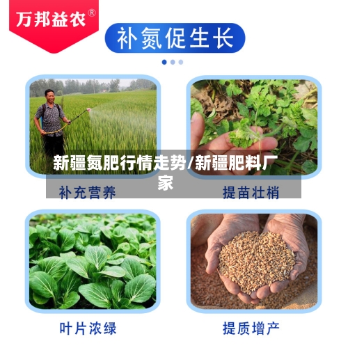新疆氮肥行情走势/新疆肥料厂家