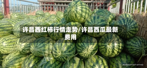 许昌西红柿行情走势/许昌西瓜最新费用
