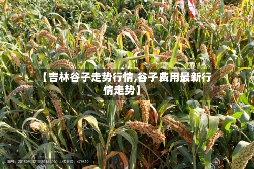 【吉林谷子走势行情,谷子费用最新行情走势】
