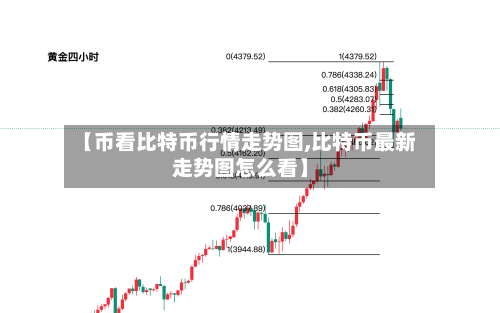 【币看比特币行情走势图,比特币最新走势图怎么看】