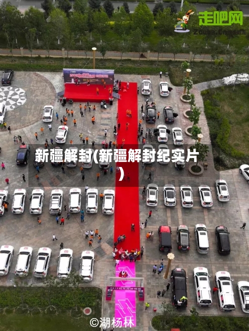 新疆解封(新疆解封纪实片)
