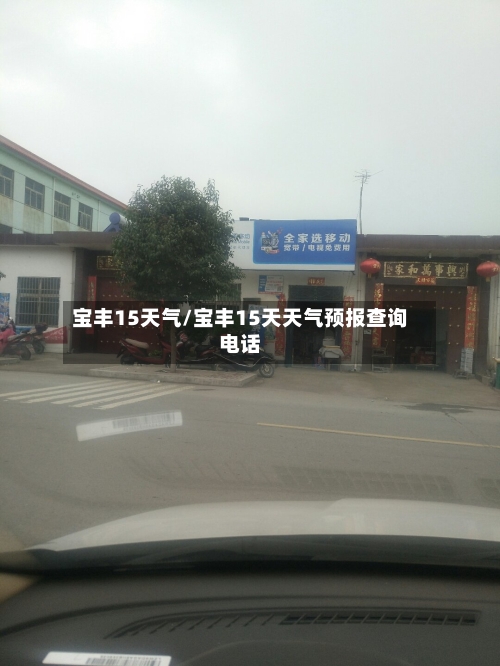 宝丰15天气/宝丰15天天气预报查询电话