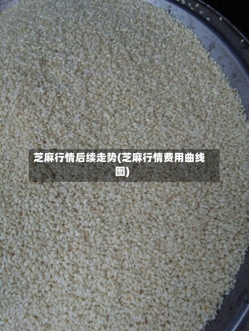 芝麻行情后续走势(芝麻行情费用曲线图)