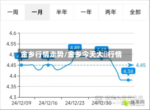 金乡行情走势/金乡今天大祘行情