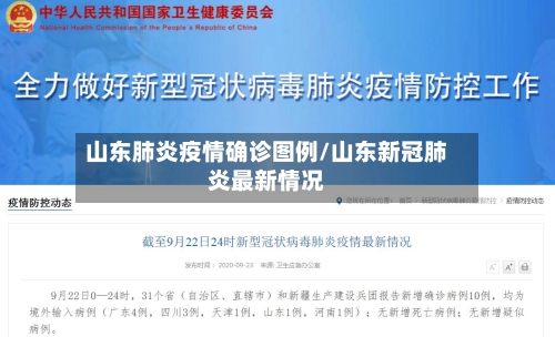 山东肺炎疫情确诊图例/山东新冠肺炎最新情况