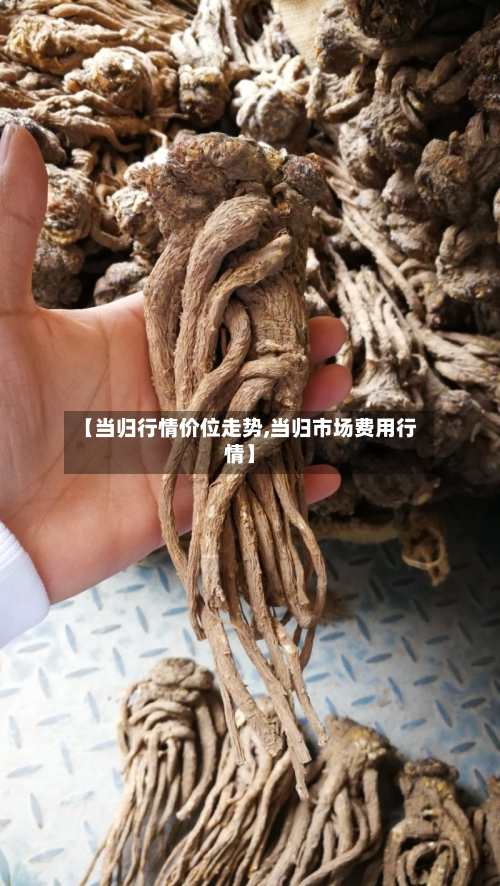 【当归行情价位走势,当归市场费用行情】