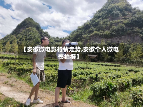【安徽微电影行情走势,安徽个人微电影拍摄】