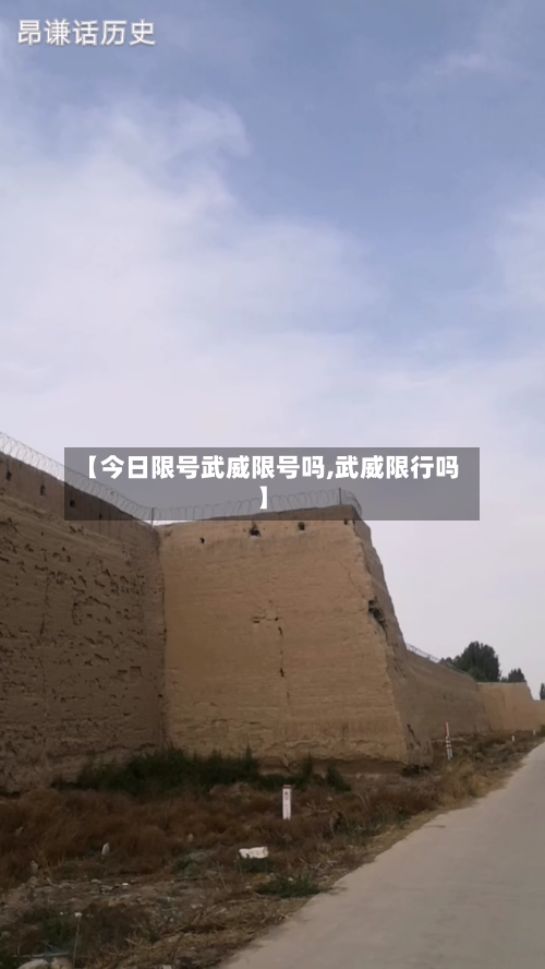 【今日限号武威限号吗,武威限行吗】