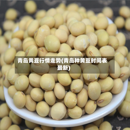青岛黄豆行情走势(青岛种黄豆时间表最新)
