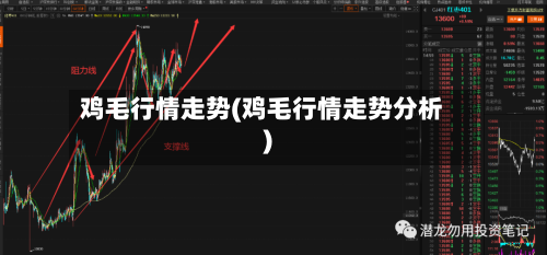 鸡毛行情走势(鸡毛行情走势分析)