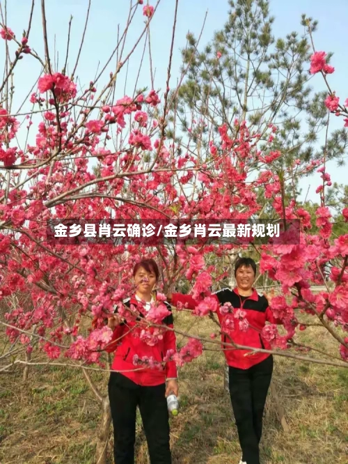 金乡县肖云确诊/金乡肖云最新规划