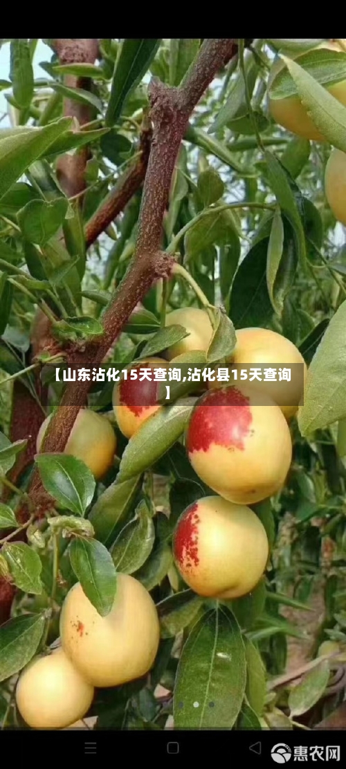 【山东沾化15天查询,沾化县15天查询】