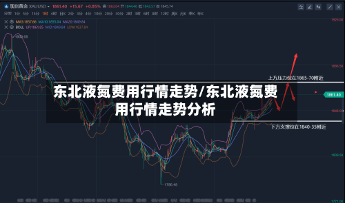 东北液氮费用行情走势/东北液氮费用行情走势分析
