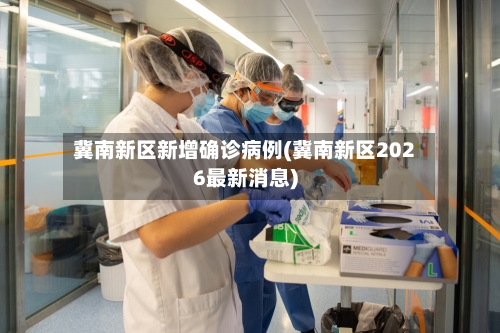 冀南新区新增确诊病例(冀南新区2026最新消息)