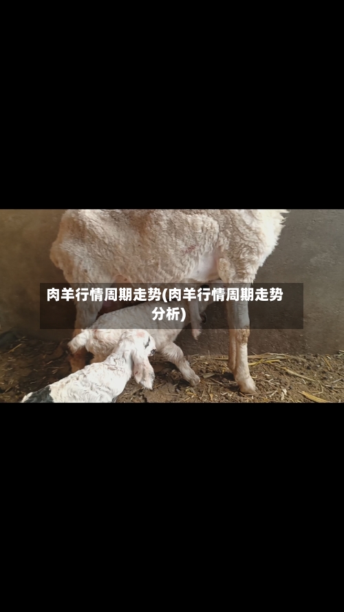 肉羊行情周期走势(肉羊行情周期走势分析)