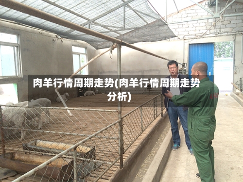 肉羊行情周期走势(肉羊行情周期走势分析)
